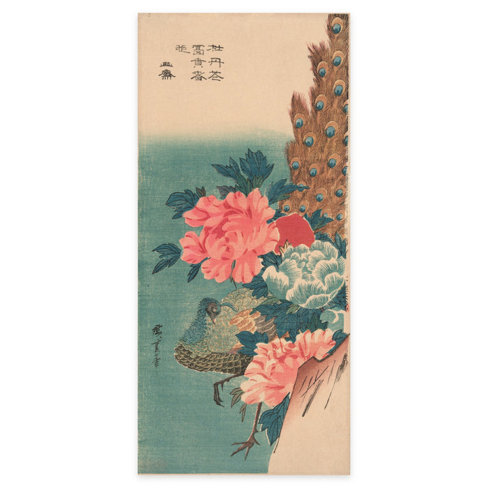 Utagawa Hiroshige, Peacock and Peonies, 1830s — the tall ōtanzaku sheet reproduced whole, a peacock among pink and white peonies on a teal ground