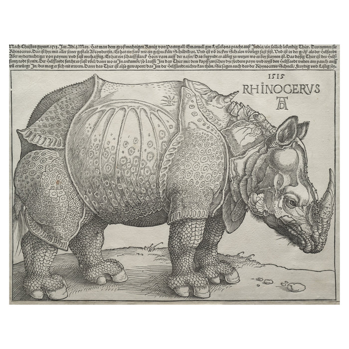 Albrecht Dürer, The Rhinoceros, 1515 — the woodcut sheet reproduced whole, the armoured animal in profile under the eight lines of German letterpress