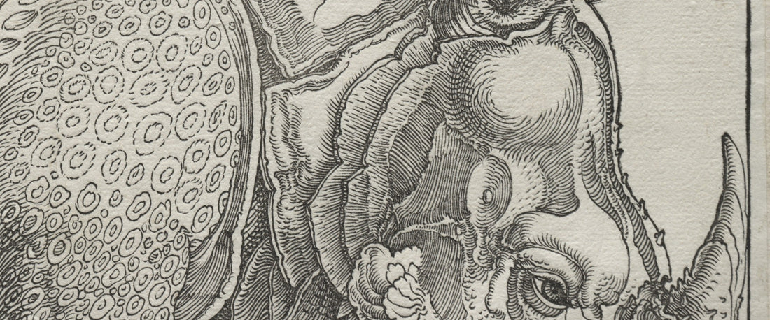 Detail of Albrecht Dürer's 1515 woodcut: the rhinoceros's head, horn and plated skin cut line by line into the block