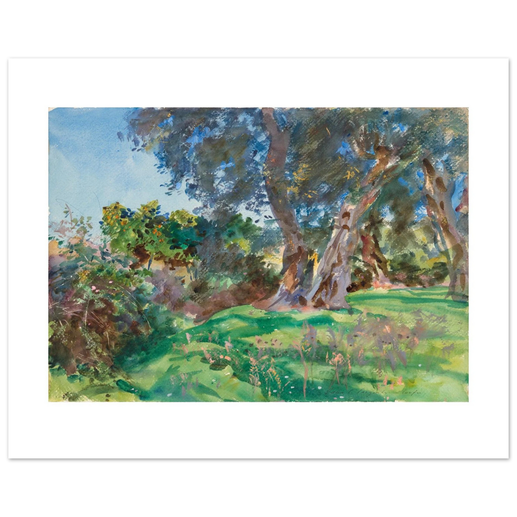 Sargent's Olive Trees, Corfu as a 50 × 40 cm fine art poster, unframed, shown flat against a light grey wall
