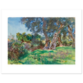 Sargent's Olive Trees, Corfu as a 50 × 40 cm fine art poster, unframed, shown flat against a light grey wall