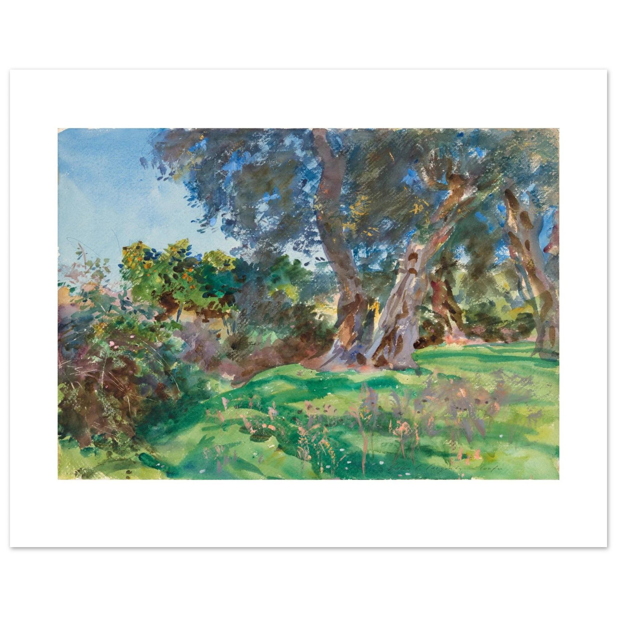Sargent's Olive Trees, Corfu as a 50 × 40 cm fine art poster, unframed, shown flat against a light grey wall