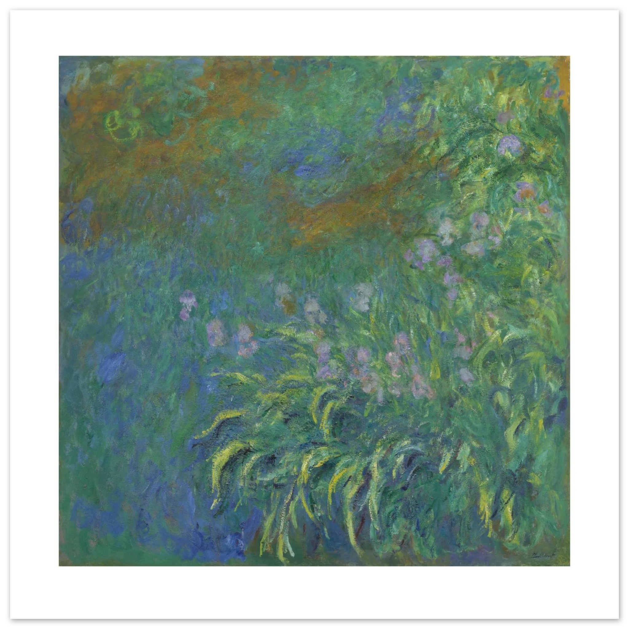 Monet's Irises as a 50 × 50 cm fine art poster, unframed, shown flat against a light grey wall