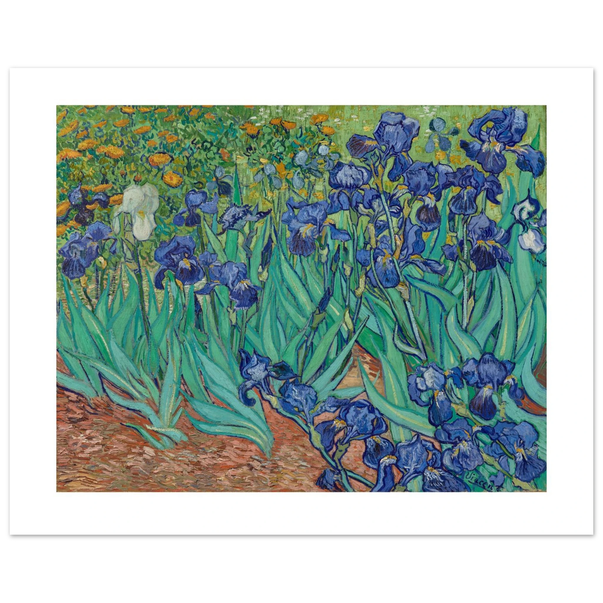 Van Gogh's Irises as an 80 × 60 cm fine art poster, unframed, shown flat against a light grey wall