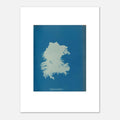 The 30 × 40 cm giclée print of Anna Atkins's Zygnema curvatum, unframed, shown flat with its white border
