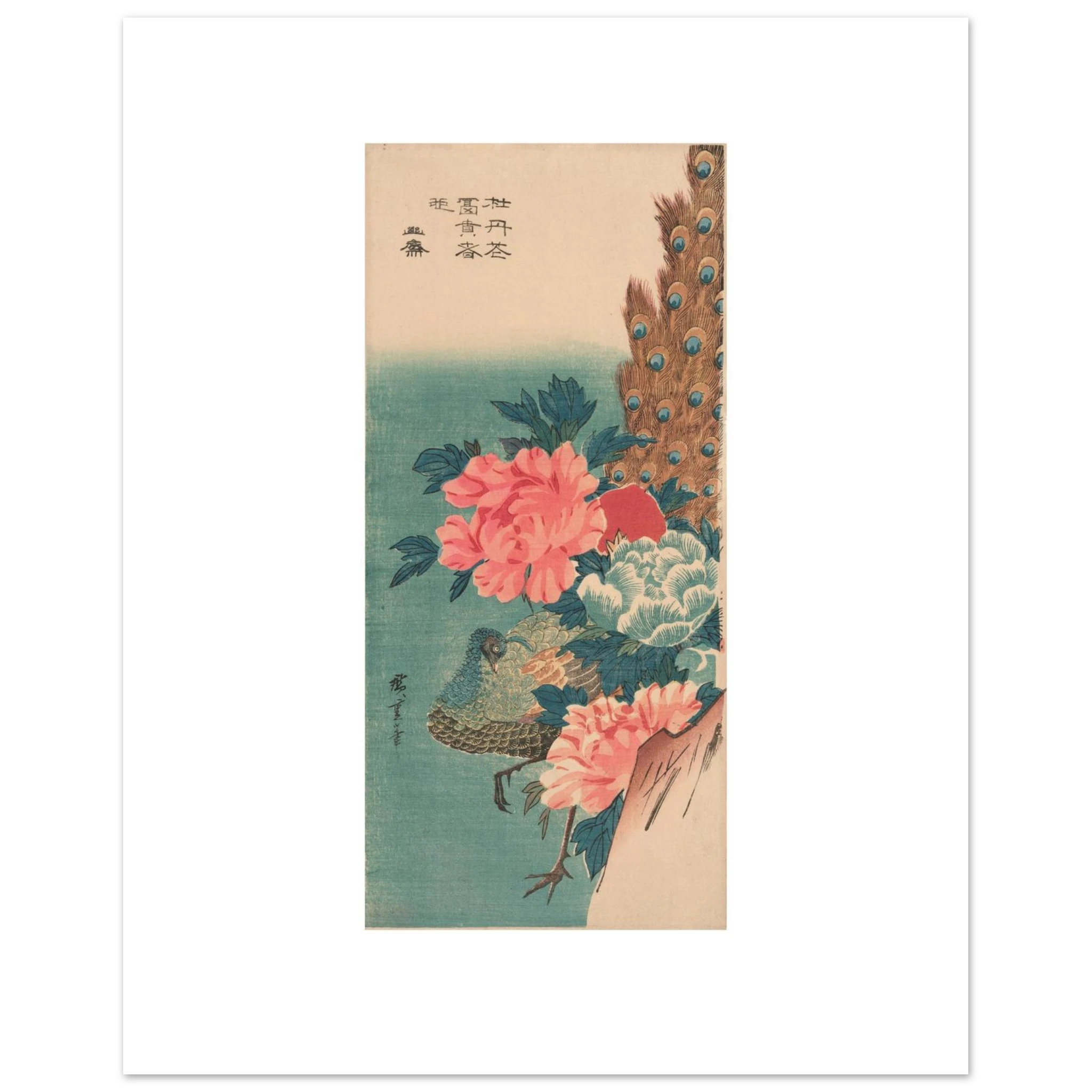 Hiroshige's Peacock and Peonies as a 40 × 50 cm fine art poster, unframed, shown flat against a light grey wall