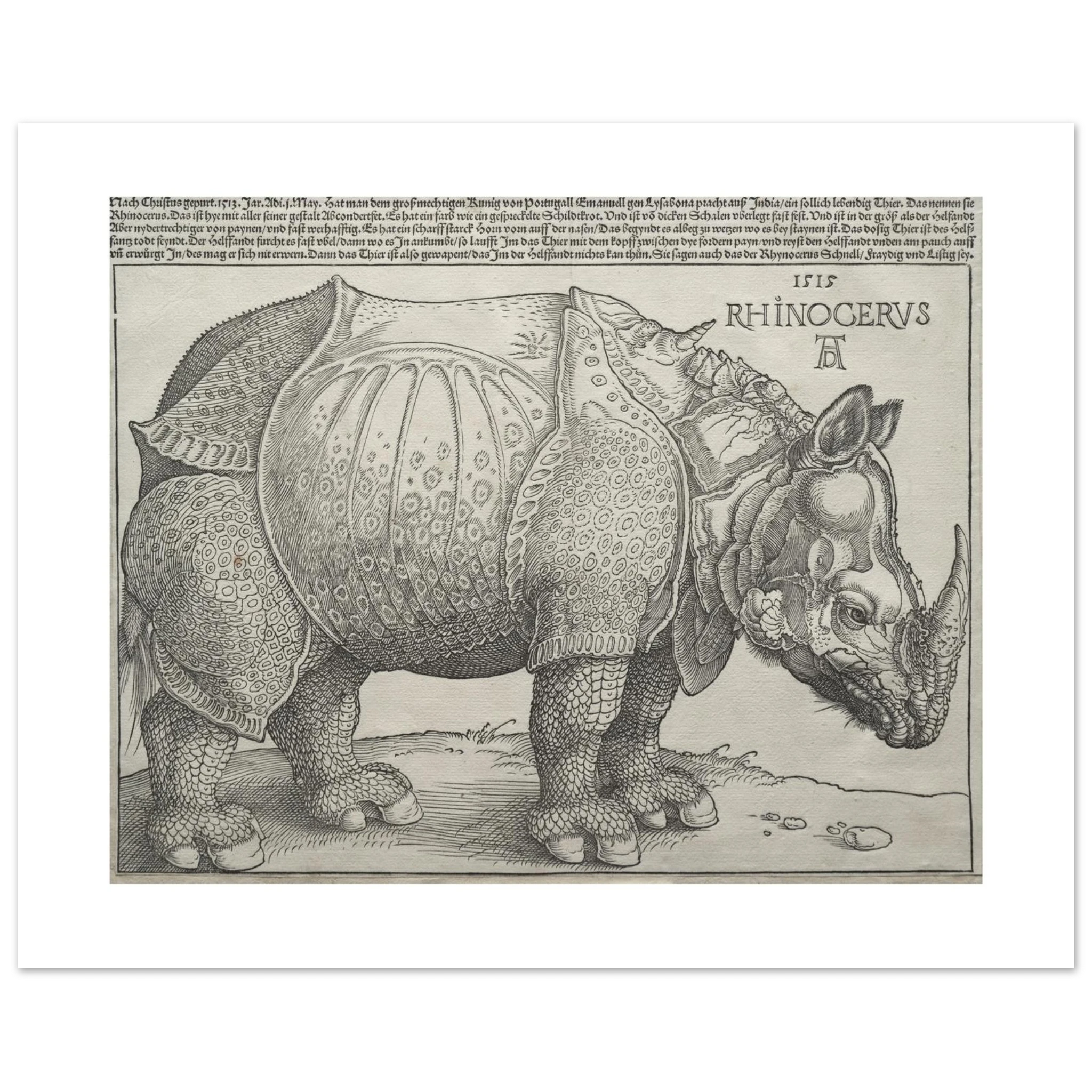 The 50 × 40 cm giclée print of Dürer's Rhinoceros, unframed, shown flat with its white border