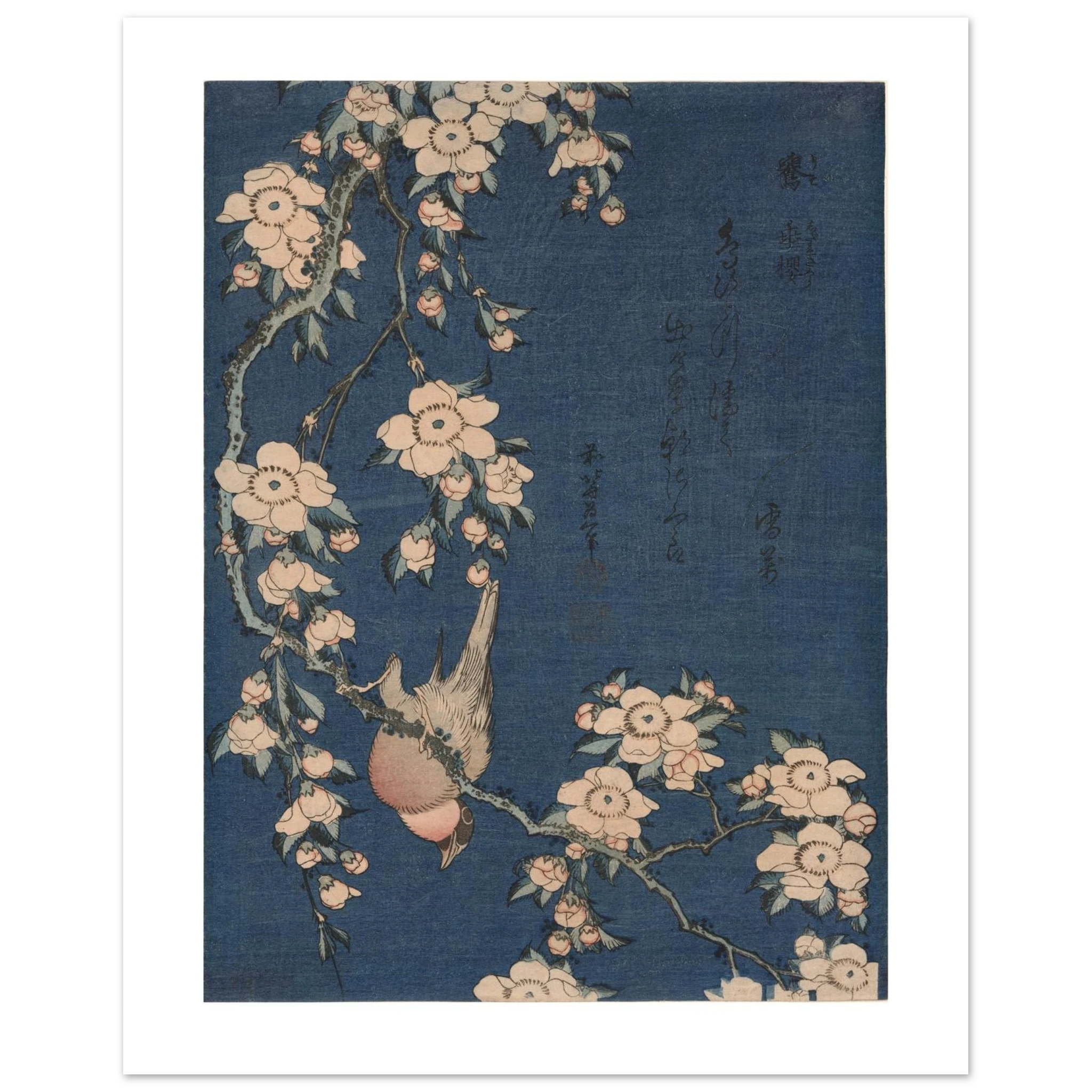 Hokusai's Bullfinch and Weeping Cherry as a 27 × 35 cm fine art poster, unframed, shown flat against a light grey wall