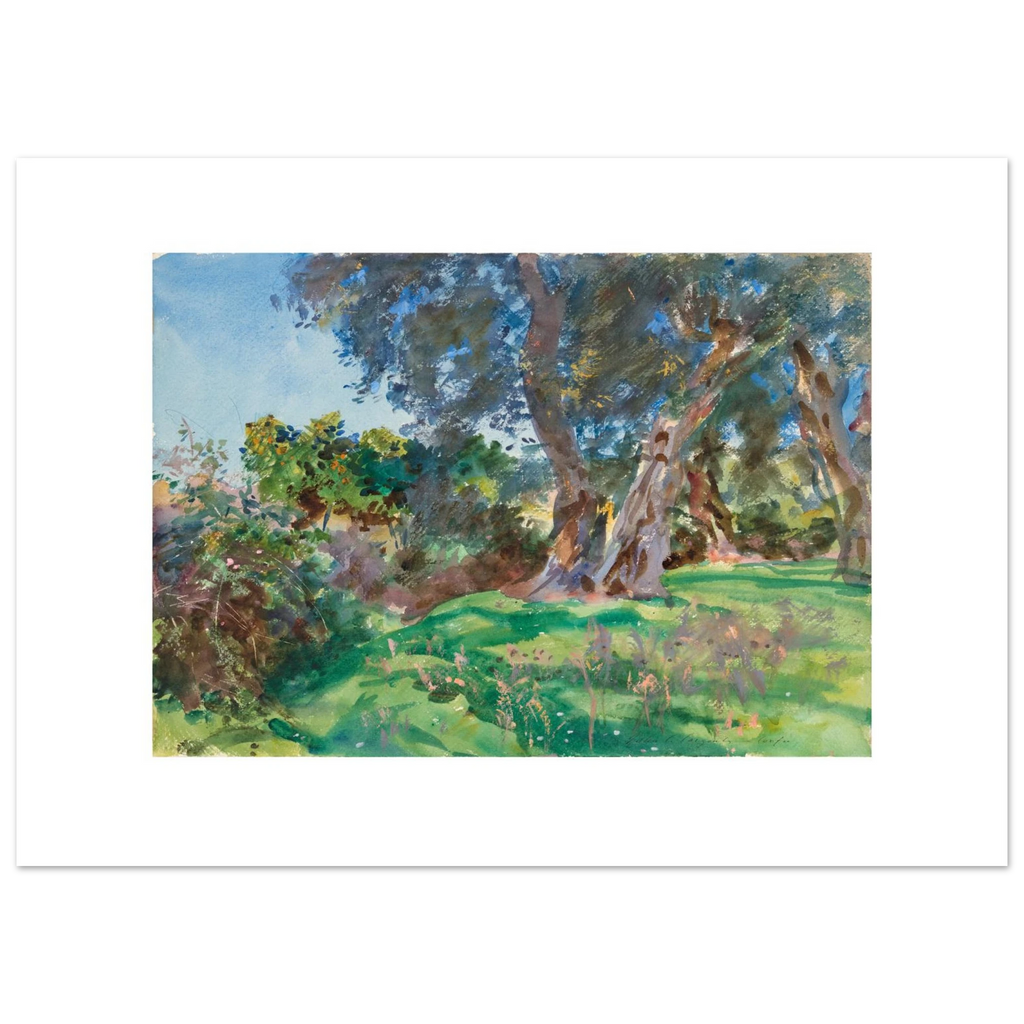 Sargent's Olive Trees, Corfu as a 70 × 50 cm fine art poster, unframed, shown flat against a light grey wall