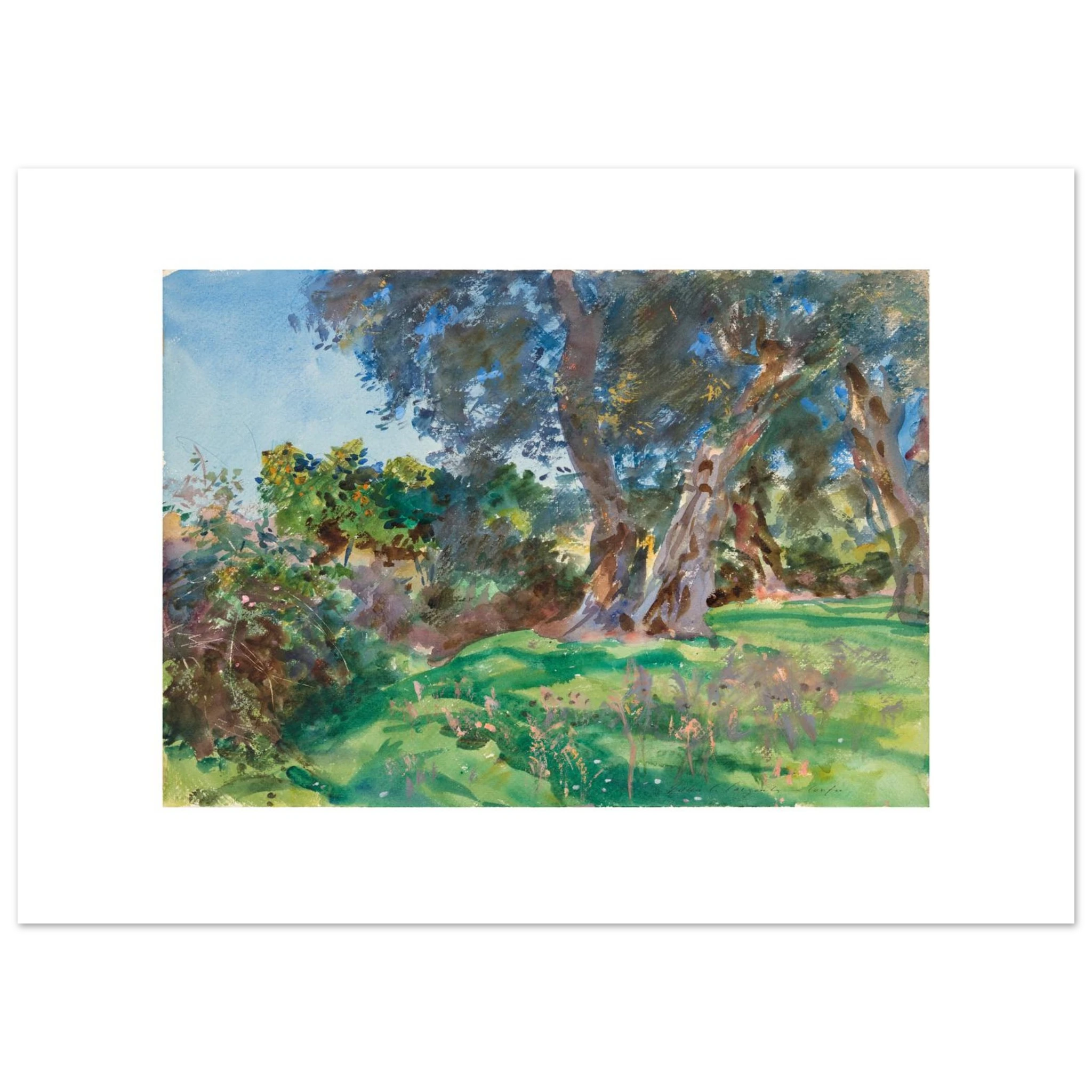 Sargent's Olive Trees, Corfu as a 70 × 50 cm fine art poster, unframed, shown flat against a light grey wall