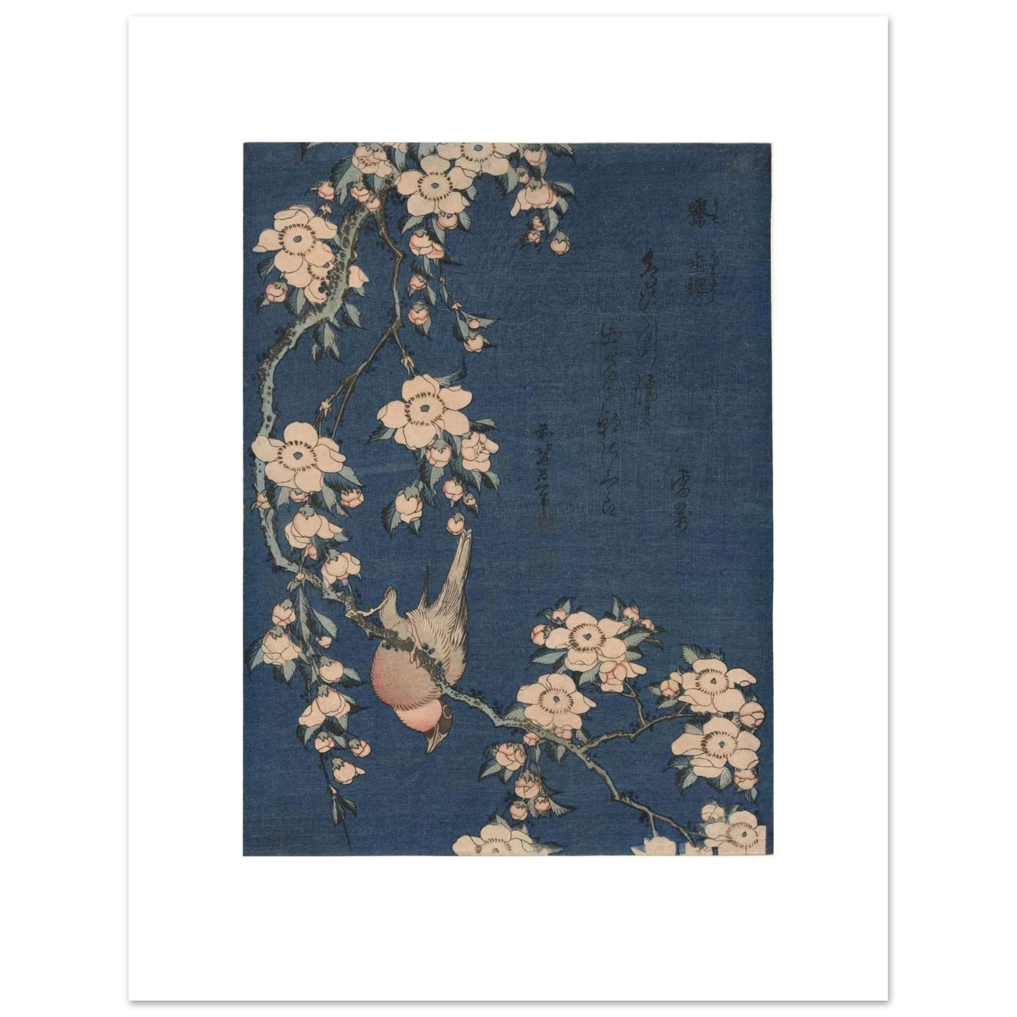 Hokusai's Bullfinch and Weeping Cherry as a 40 × 50 cm fine art poster, unframed, shown flat against a light grey wall