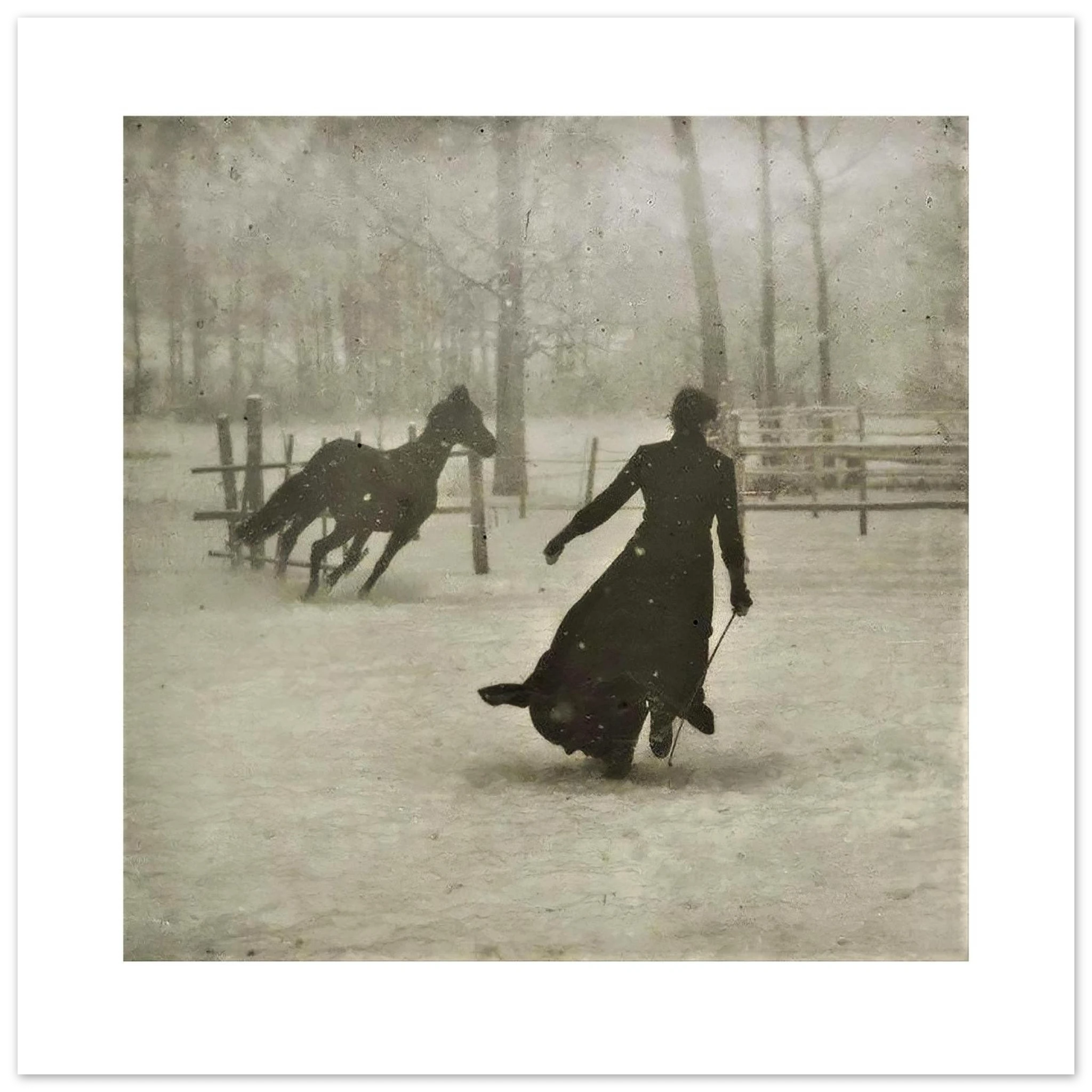 The 30 × 30 cm giclée print of the Thiollier photograph, unframed, white border, on 200 gsm fine art paper