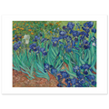Van Gogh's Irises as a 50 × 40 cm fine art poster, unframed, shown flat against a light grey wall