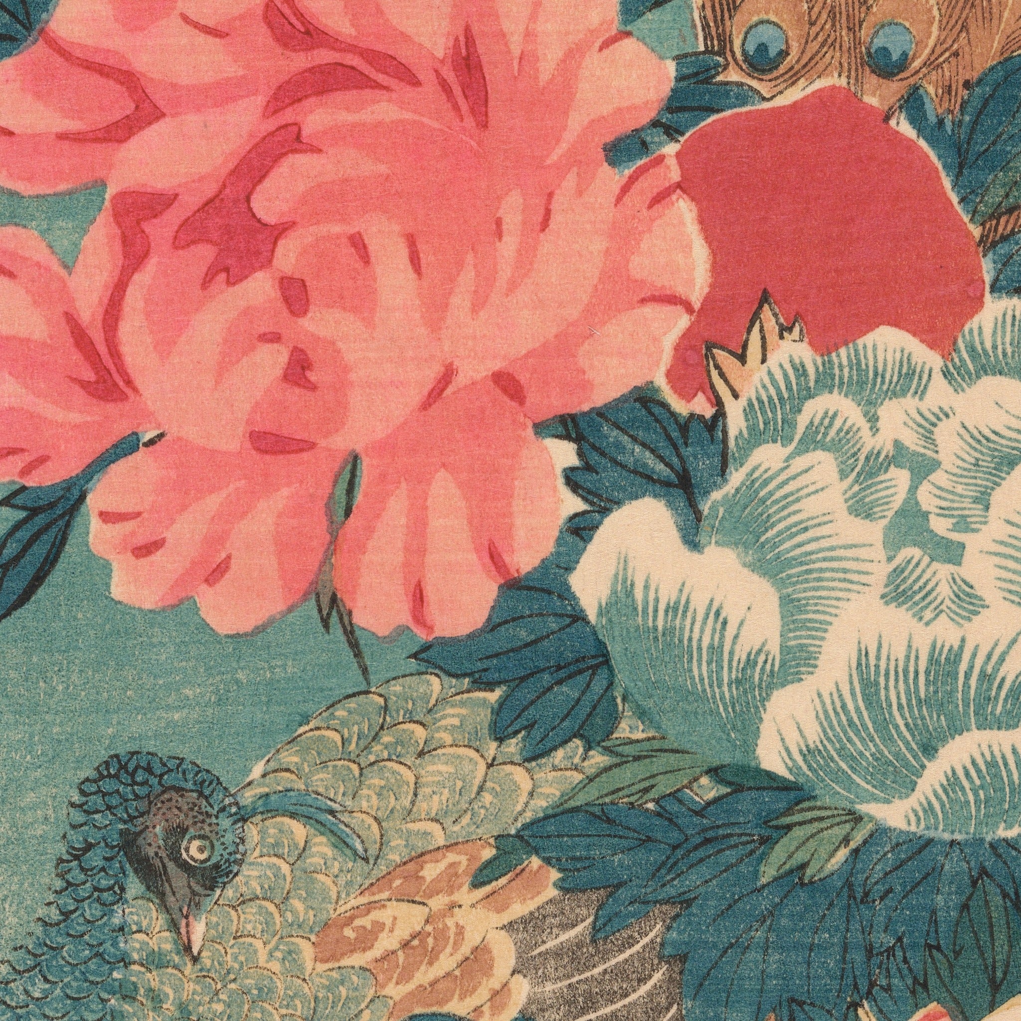 Detail at the size printed on the 50 × 70 sheet: the peacock's head among the peonies, the printed grain of the 1830s impression