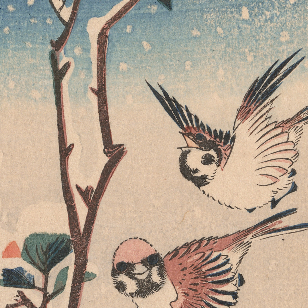 Detail at the size printed on the 50 × 70 sheet: the two sparrows with open wings and the snow left as bare paper