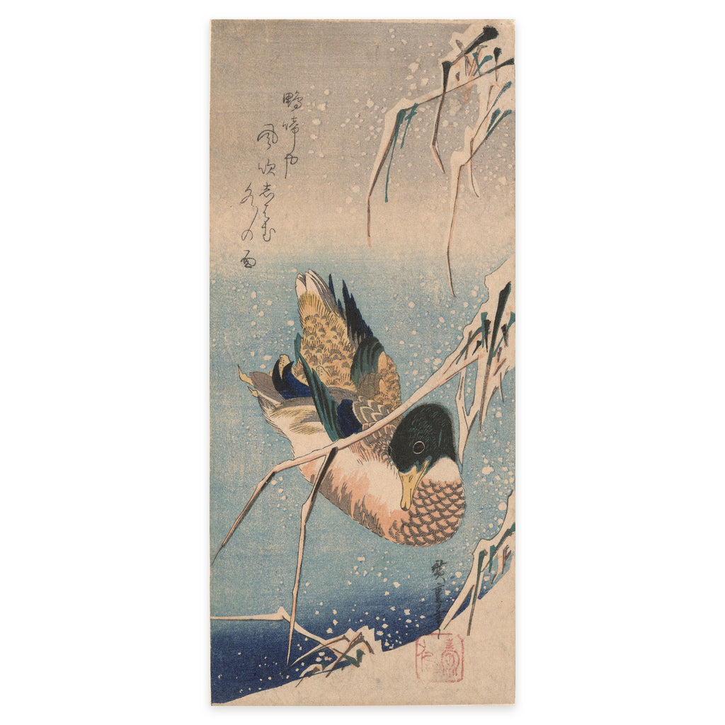 Utagawa Hiroshige, A Wild Duck Swimming by a Snow-covered Bank beneath Snow-laden Reeds, 1830s — the tall ōtanzaku sheet reproduced whole