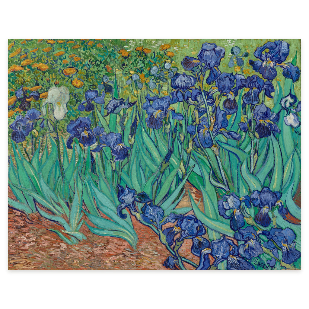 Vincent van Gogh, Irises, 1889 — the canvas reproduced whole: a bed of irises in the asylum garden at Saint-Rémy, with one white iris standing alone at the left edge