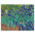 Vincent van Gogh, Irises, 1889 — the canvas reproduced whole: a bed of irises in the asylum garden at Saint-Rémy, with one white iris standing alone at the left edge