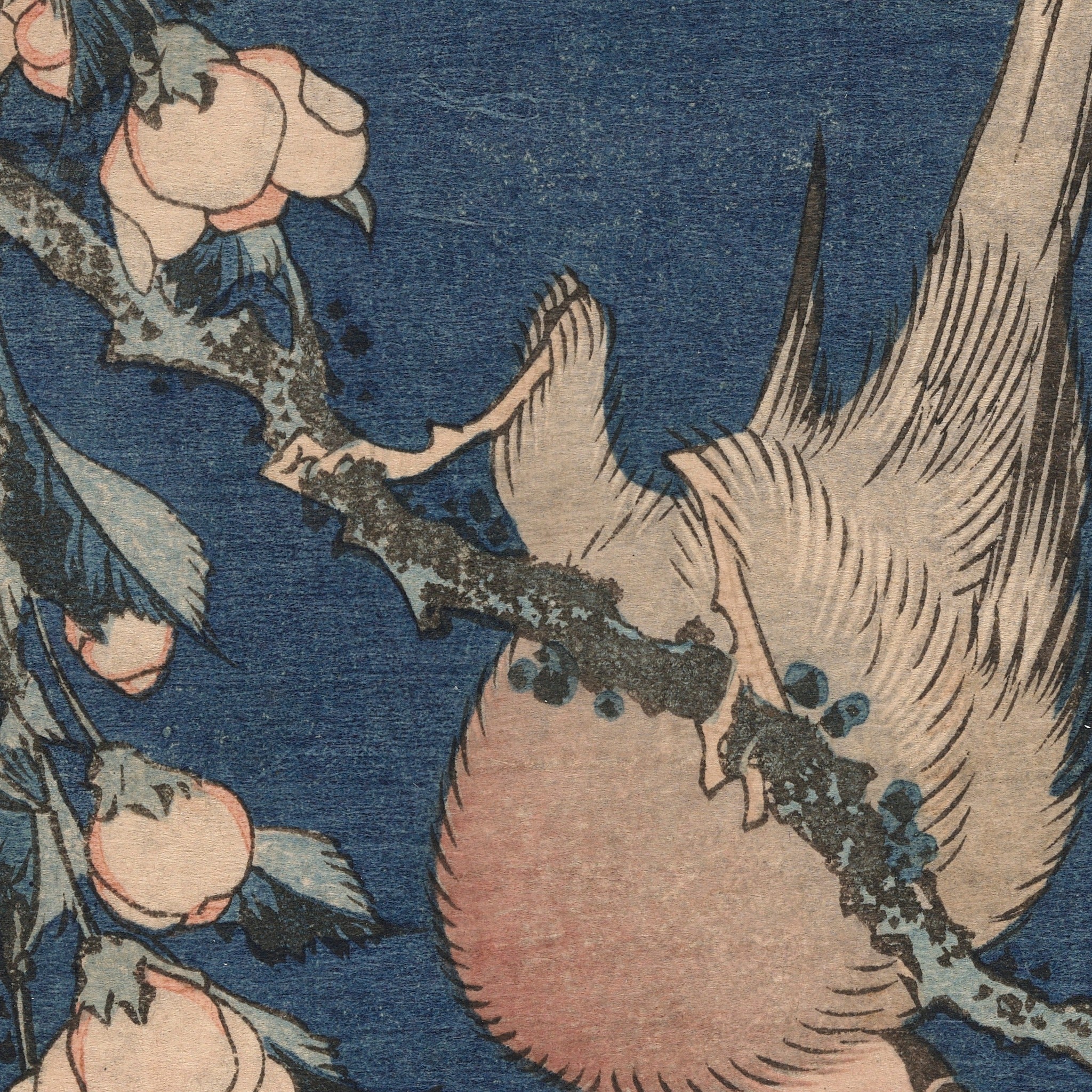 Detail at print size: the bullfinch's rose-grey breast and the woodblock line of the cherry branch against the blue