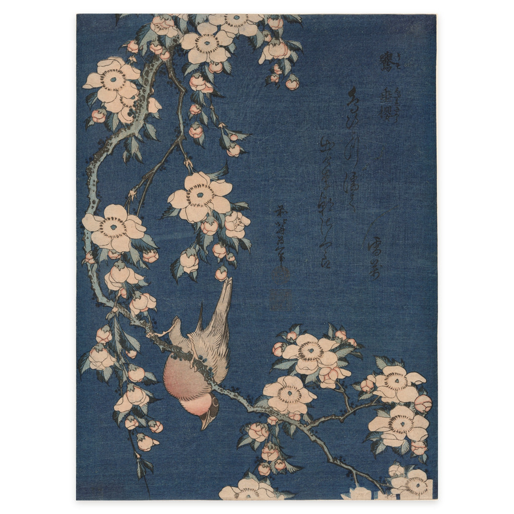 Katsushika Hokusai, Bullfinch and Weeping Cherry, c. 1834 — the sheet reproduced whole: a bullfinch hanging from a branch of weeping cherry against a deep Prussian blue ground