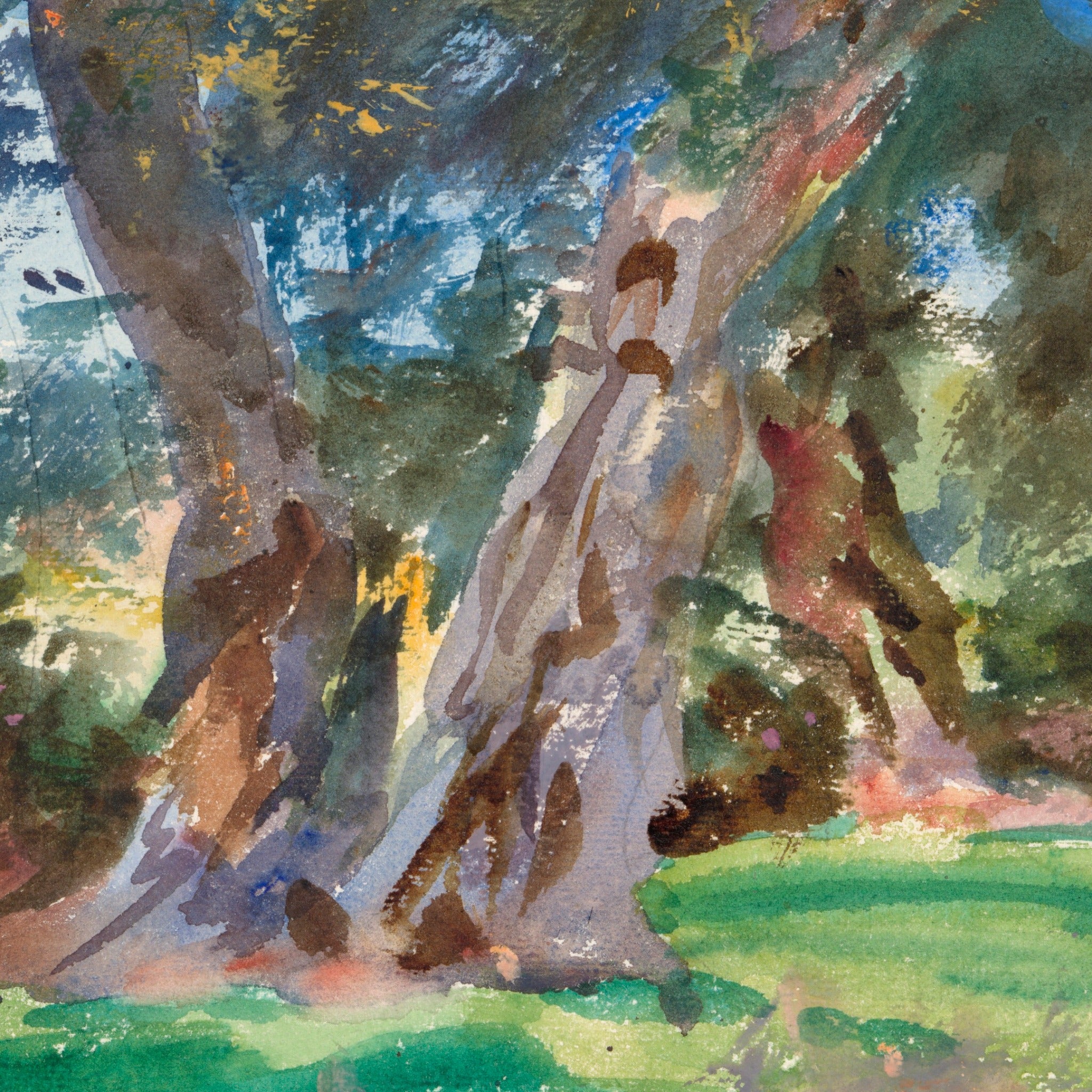 Detail at print size: an olive trunk with the whites scraped and waxed out of the wash, violet shadow against green grass