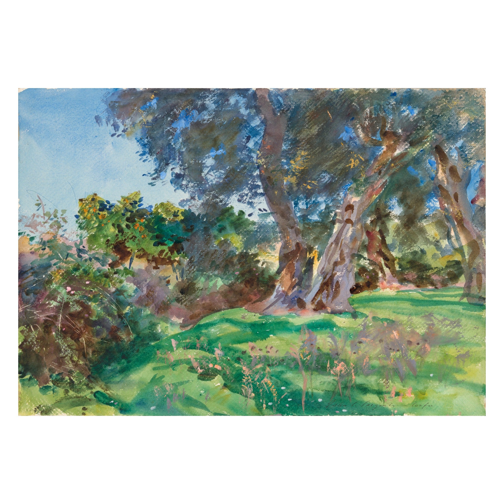 John Singer Sargent, Olive Trees, Corfu, 1909 — the watercolour sheet reproduced whole: old olive trunks leaning over a bright green meadow under a pale blue sky
