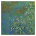 Claude Monet, Irises, 1914–17 — the canvas reproduced whole: a two-metre square of green leaves with violet irises running through it and no horizon