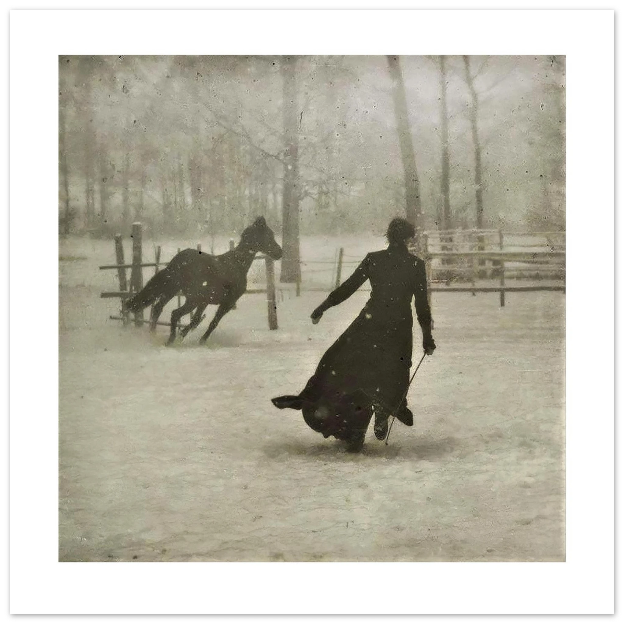The 50 × 50 cm giclée print of the Thiollier photograph, unframed, white border, on 200 gsm fine art paper