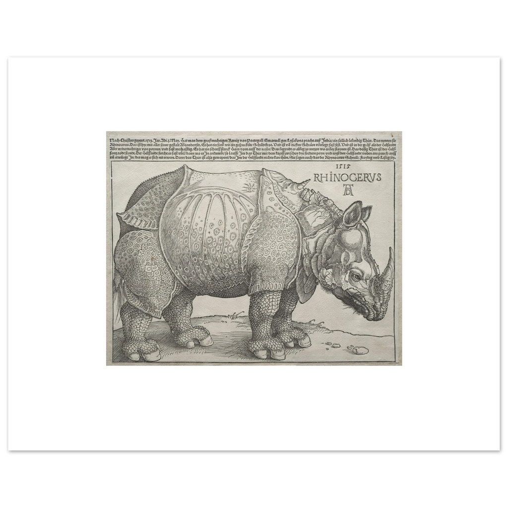 The 40 × 50 cm giclée print of Dürer's Rhinoceros at original size, unframed, white border, on 200 gsm fine art paper