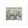 The 40 × 50 cm giclée print of Dürer's Rhinoceros at original size, unframed, white border, on 200 gsm fine art paper