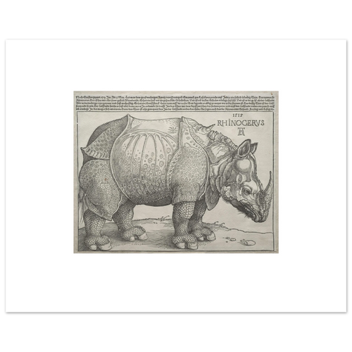 The 40 × 50 cm giclée print of Dürer's Rhinoceros at original size, unframed, white border, on 200 gsm fine art paper