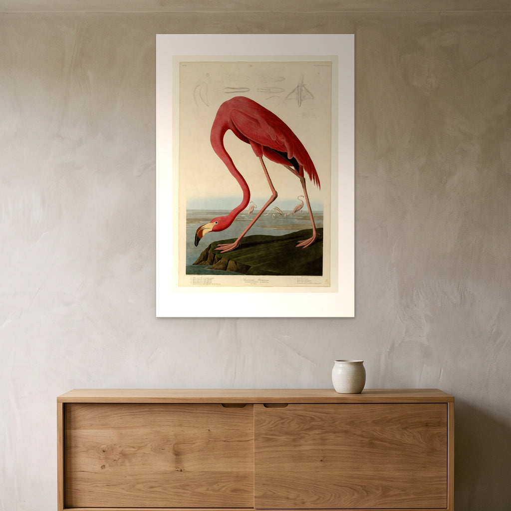 Audubon's American Flamingo as a 70 × 100 cm giclée print, unframed, above a 140 cm sideboard