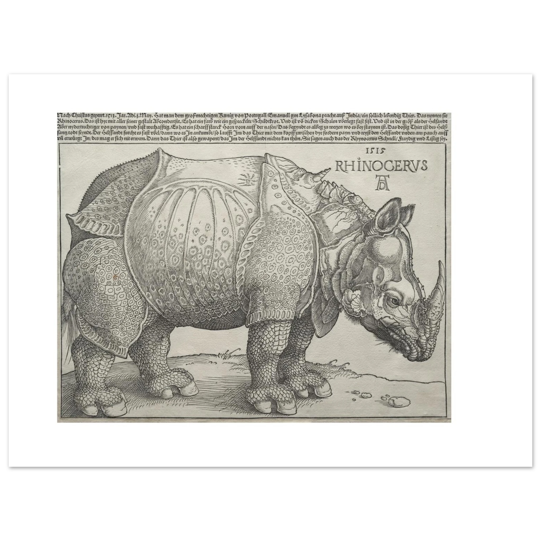 The 40 × 30 cm giclée print of Dürer's Rhinoceros at original size, unframed, shown flat with its white border