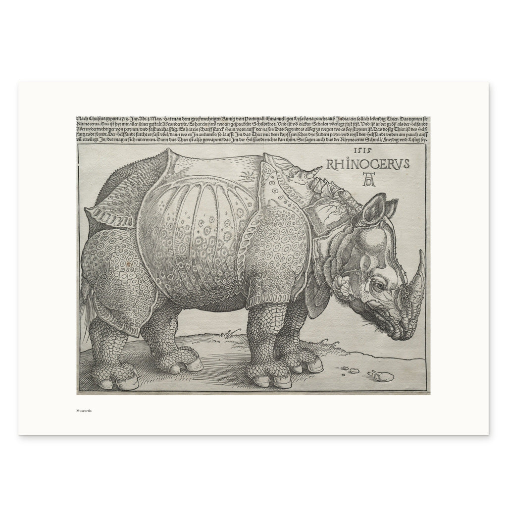 Dürer's Rhinoceros as a 40 × 30 cm giclée print, unframed, shown flat on white, with the small Museartis signet at the lower left