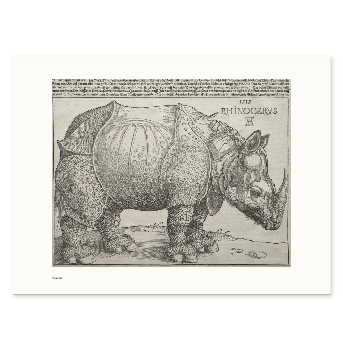 Dürer's Rhinoceros as a 40 × 30 cm giclée print, unframed, shown flat on white, with the small Museartis signet at the lower left