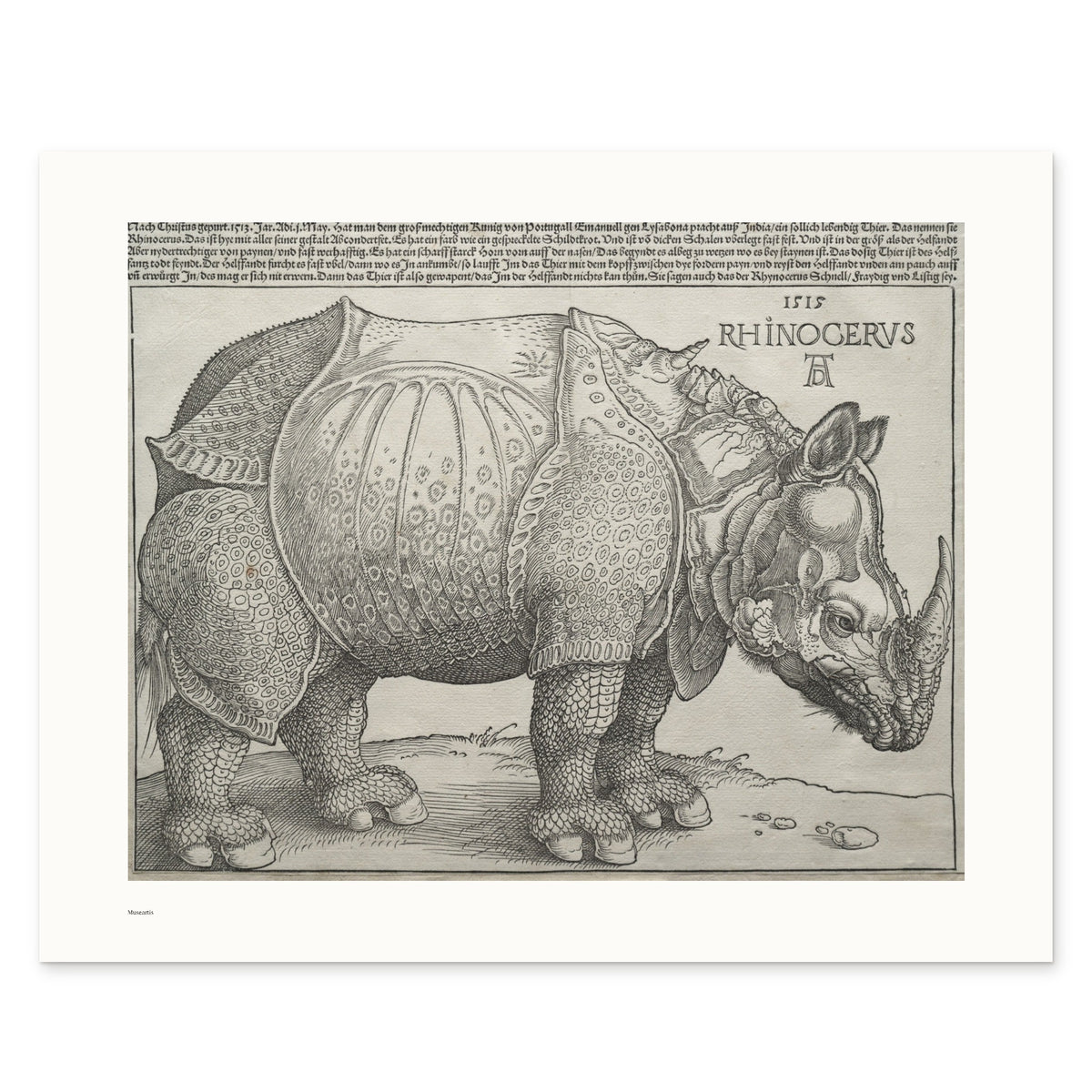 Dürer's Rhinoceros as a 50 × 40 cm giclée print, unframed, shown flat on white, with the small Museartis signet at the lower left