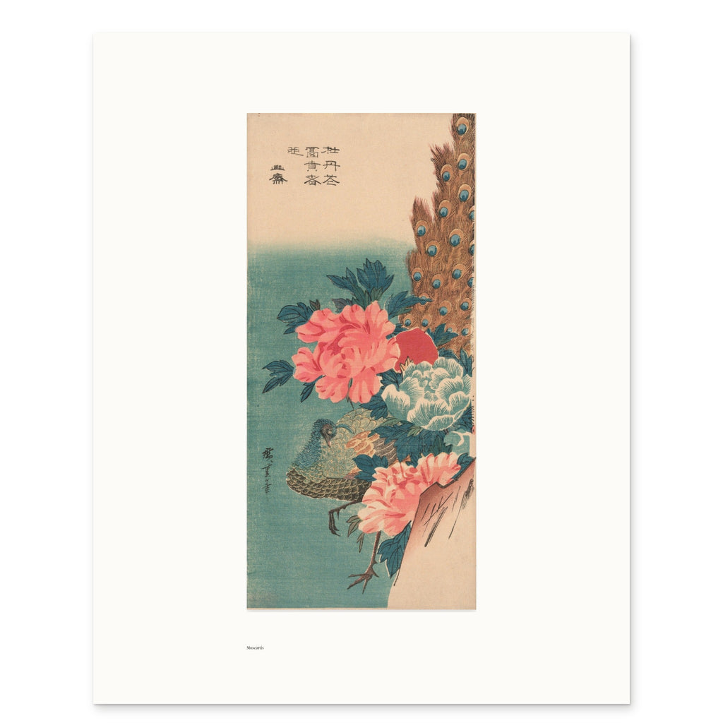 Hiroshige's Peacock and Peonies as a 40 × 50 cm giclée print, unframed, shown flat on white, with the small Museartis signet at the lower left