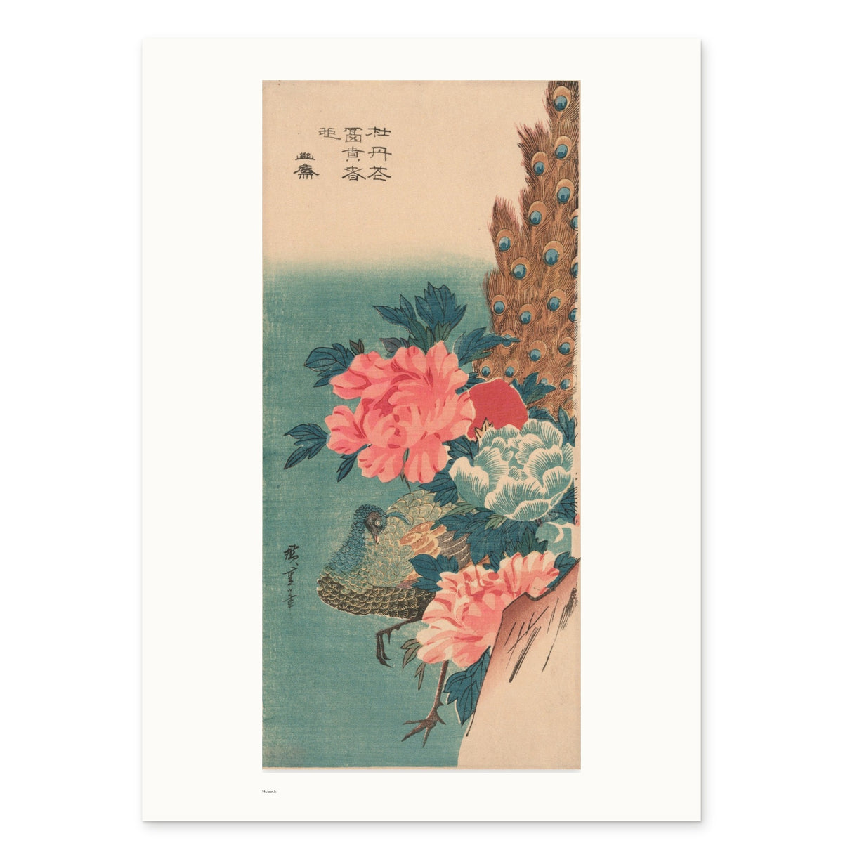 Hiroshige's Peacock and Peonies as a 50 × 70 cm giclée print, unframed, shown flat on white, with the small Museartis signet at the lower left