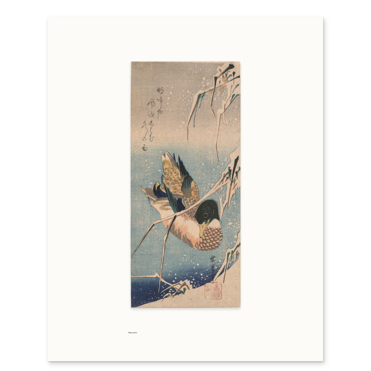 The 40 × 50 cm sheet of Hiroshige's Wild Duck in Snow, unframed, with its white border and the small Museartis signet at the lower left