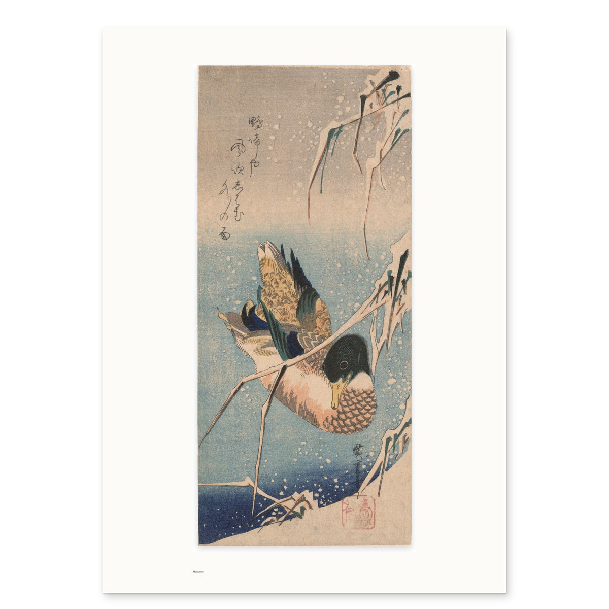 The 50 × 70 cm sheet of Hiroshige's Wild Duck in Snow, unframed, with its white border and the small Museartis signet at the lower left