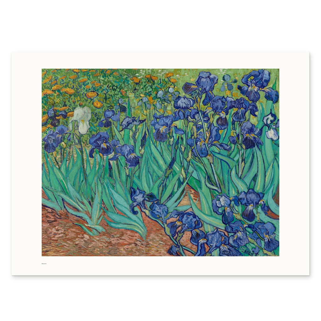 Van Gogh's Irises as a 80 × 60 cm giclée print, unframed, shown flat on white, with the small Museartis signet at the lower left