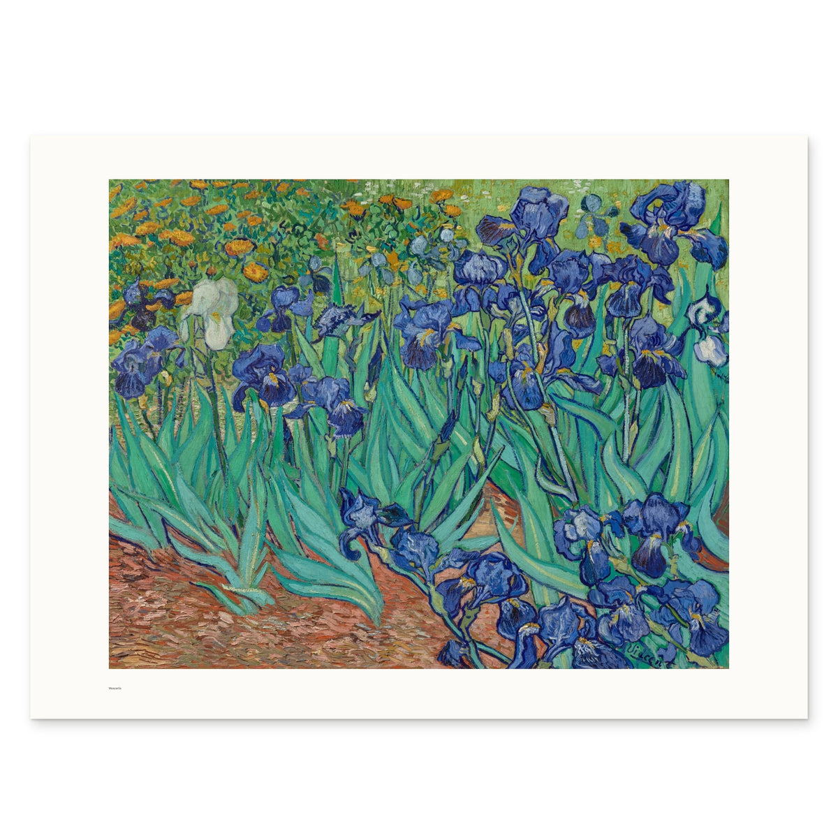 Van Gogh's Irises as a 80 × 60 cm giclée print, unframed, shown flat on white, with the small Museartis signet at the lower left