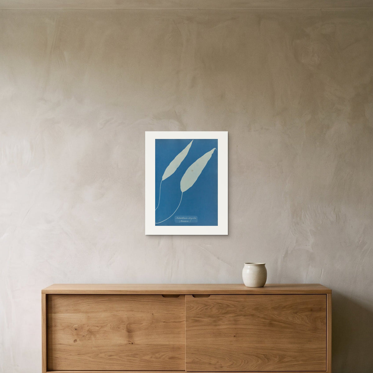 Anna Atkins & Anne Dixon – Achrosticum simplex, 1853 — the 40 × 50 cm sheet as printed, shown on the wall above a sideboard