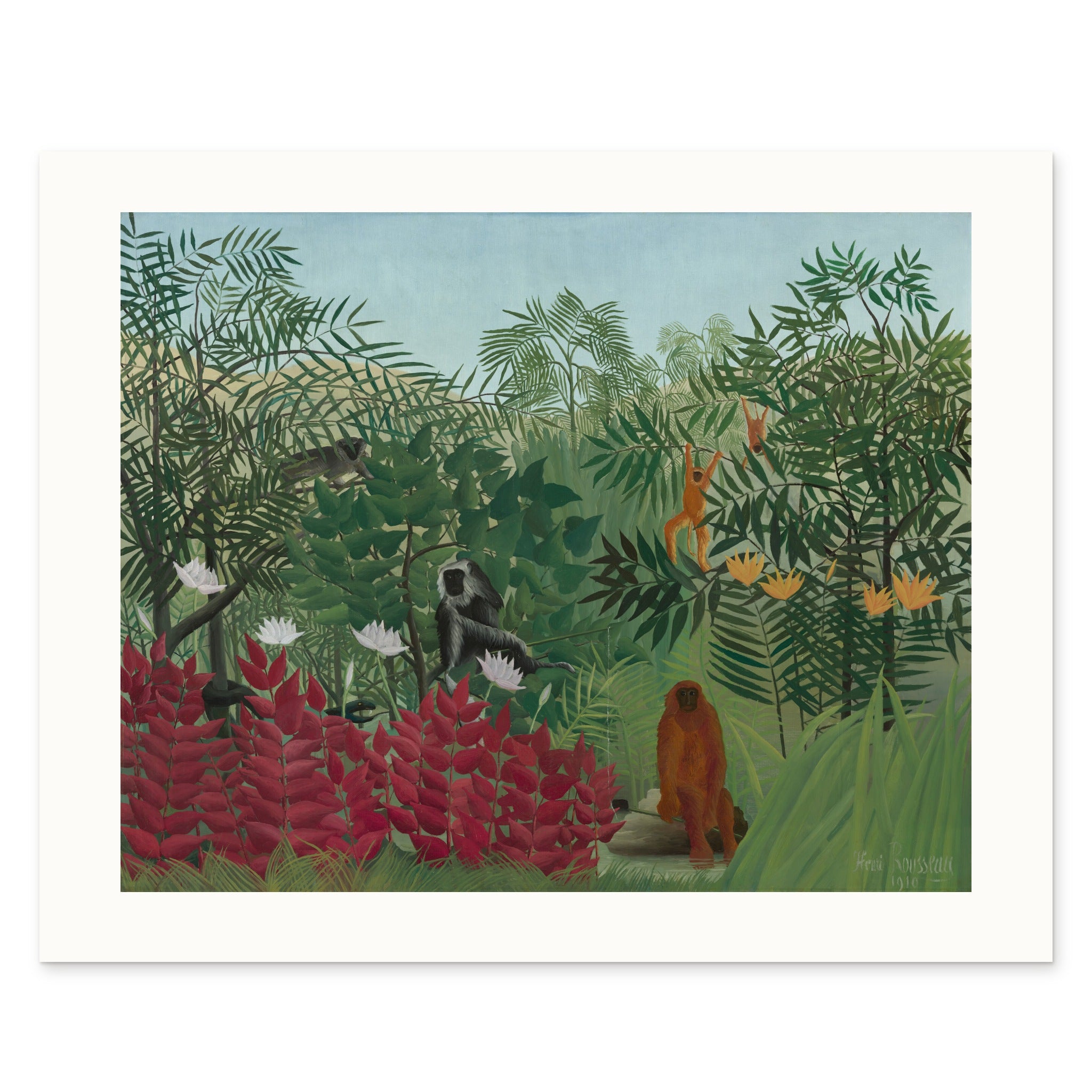 The 50 × 40 cm sheet flat, with its white border