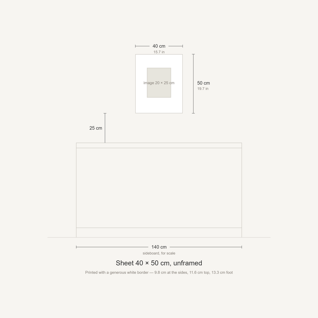 Scale diagram: the 40 × 50 cm sheet hung 25 cm above a 140 cm sideboard, printed image area 20 × 25 cm