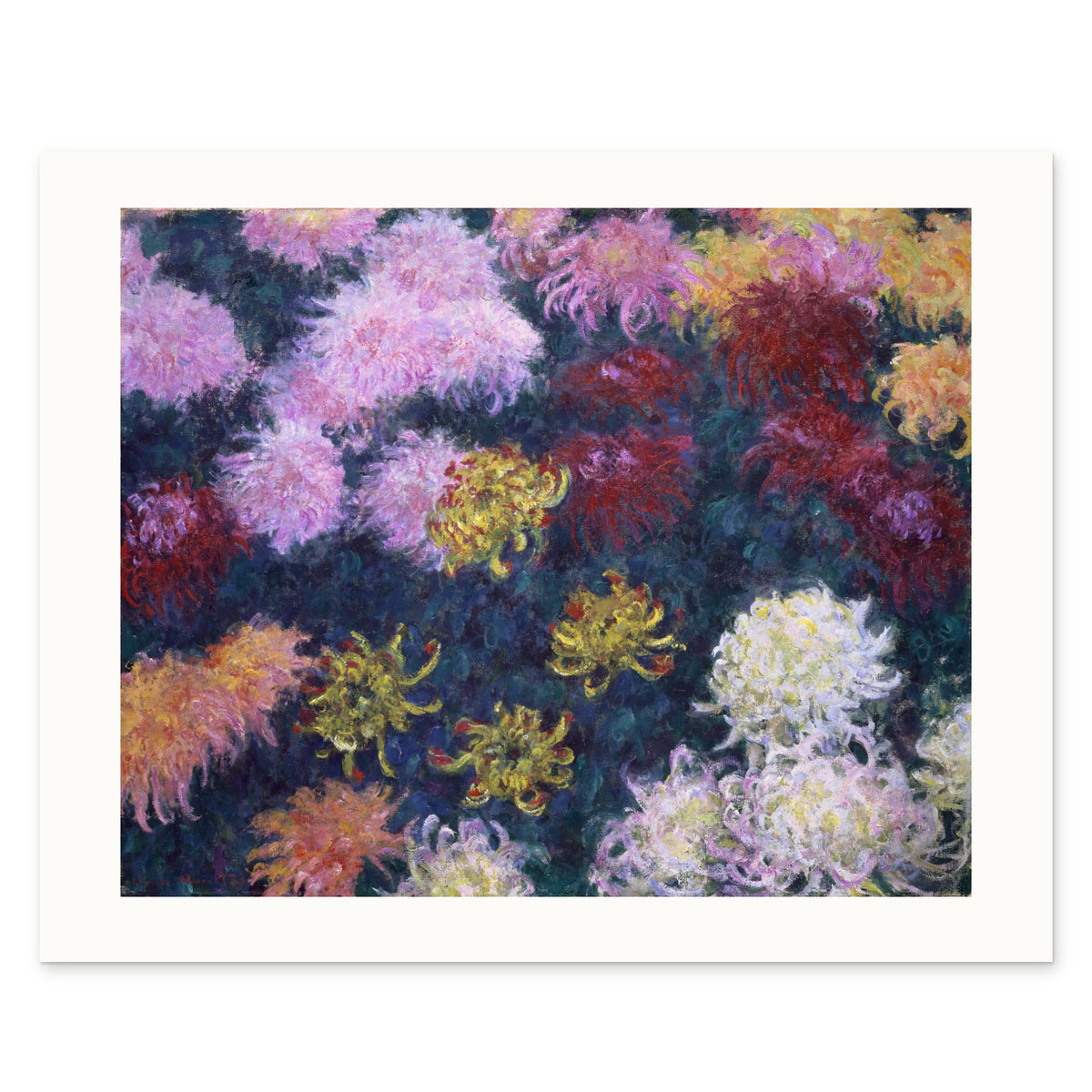 The 50 × 40 cm sheet as printed: Monet's chrysanthemums 42.00 × 34.01 cm on white paper, 4.00 cm margins at the sides, 2.79 above and 3.20 below