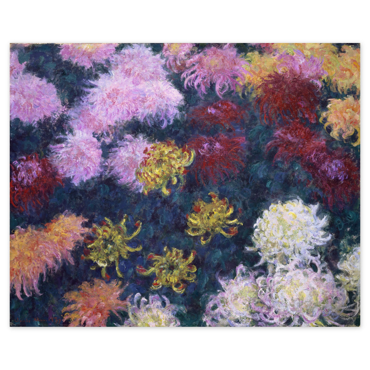 Claude Monet, Bed of Chrysanthemums, 1897 — the canvas reproduced whole: pink, white, rust-red and yellow chrysanthemums seen from above against a dark blue-green ground