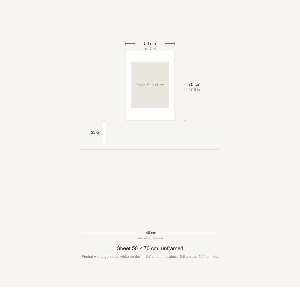 Scale diagram: the 50 × 70 cm sheet hung 25 cm above a 140 cm sideboard, printed image area 38.69 × 46.82 cm