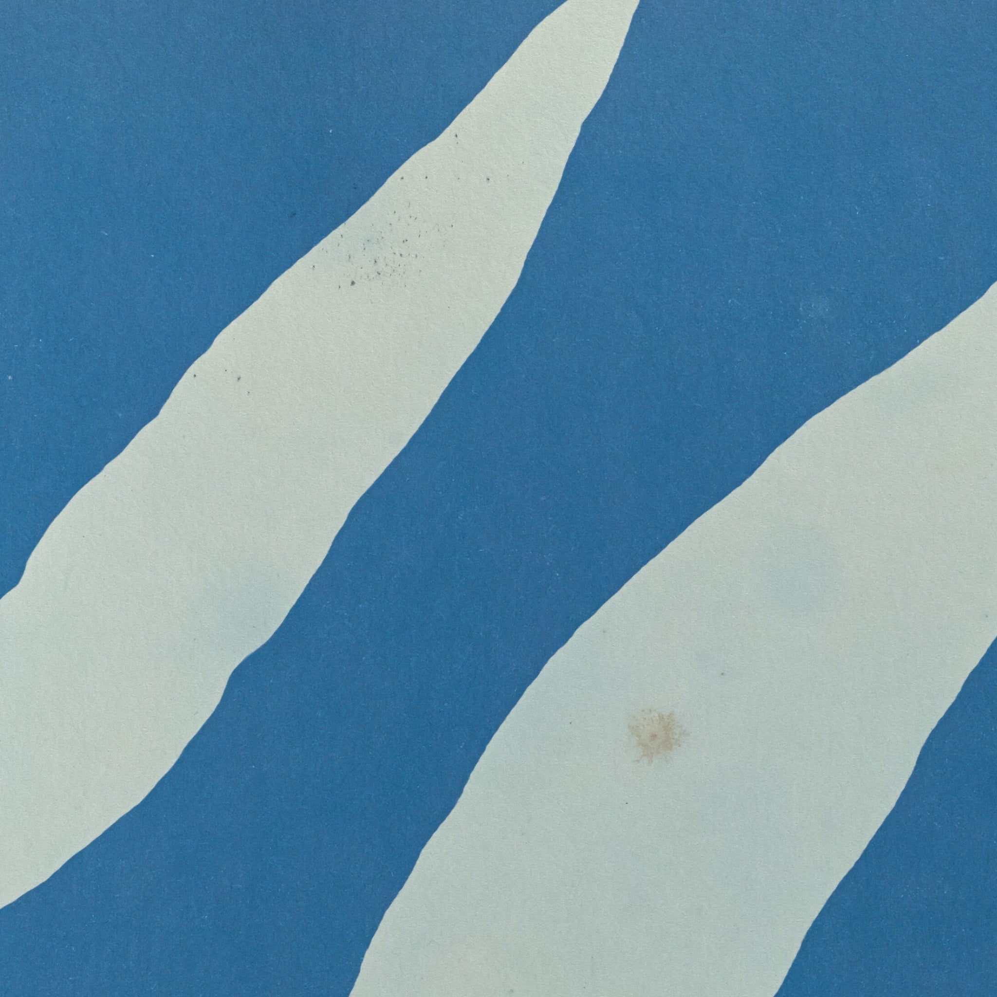 Detail at actual print size: the hard edge of the undivided fern blade against the Prussian blue and the grain of the 1853 coated paper