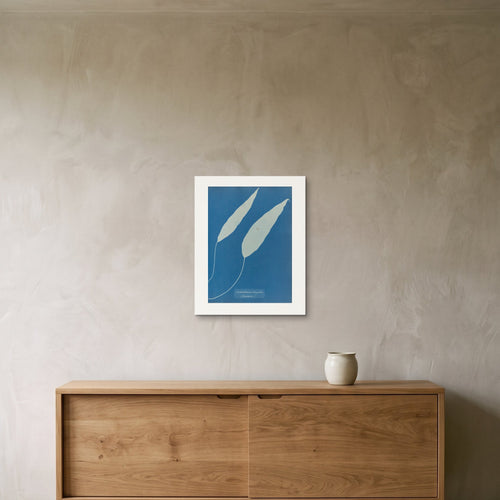 The Achrosticum simplex cyanotype as a 40 × 50 cm giclée print, unframed, hung 25 cm above a 140 cm sideboard